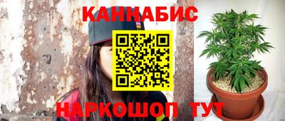 прущие грибы Кунгур