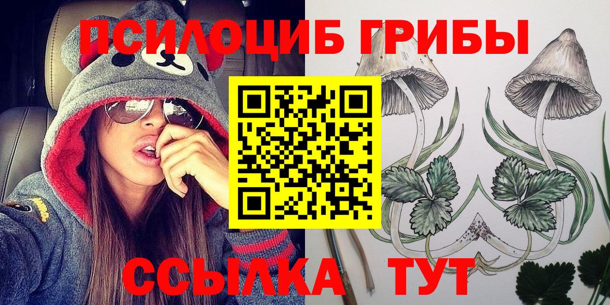 Галлюциногенные грибы Psilocybine cubensis  Вход с VPN  Галлюциногенные грибы ЛСД  Керчь 